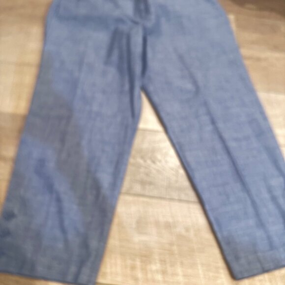 TALBOTS WOMENS 16W BLUE KHAKI CROPPED PANTS NEW - Picture 2 of 12